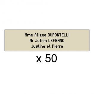 Lot de 50 plaques pour boîte aux lettres - Decayeux 100 x 25 mm