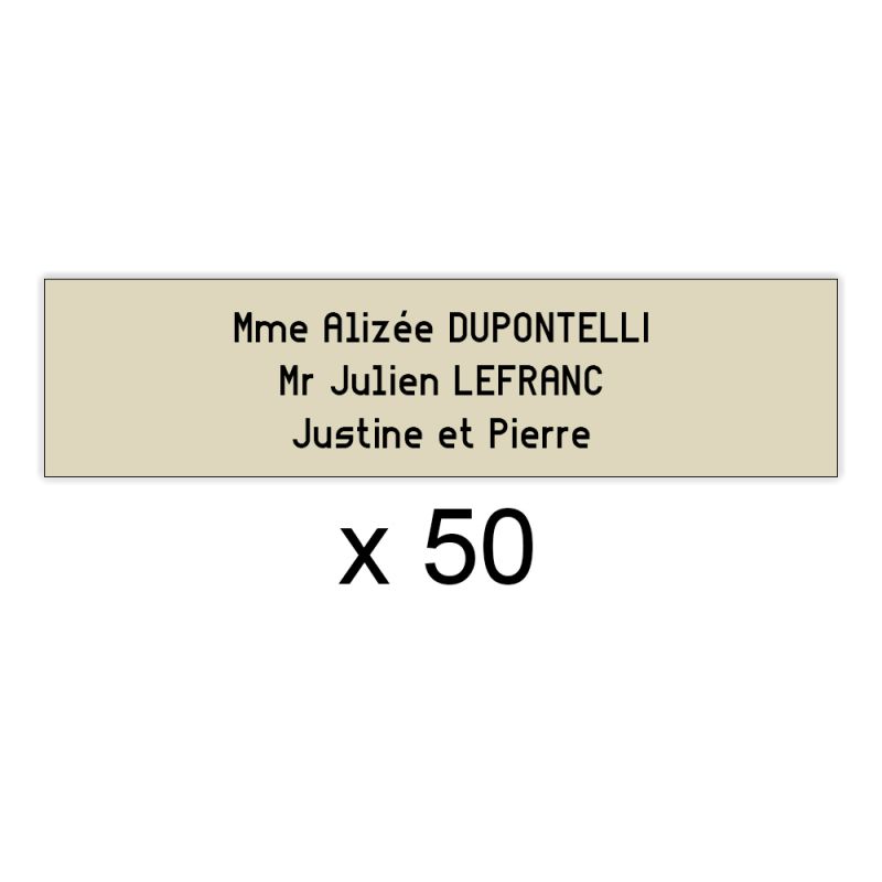 Lot de 50 plaques pour boîte aux lettres - Decayeux 100 x 25 mm Lot de 50 plaques pour boîte aux lettres - Decayeux 100 x 25 mm