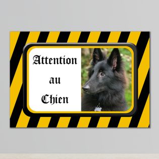 Plaque Attention au Chien Personnalisée Border Collie r9 Plaque  Personnalisable Photo et Texte : : Produits Handmade