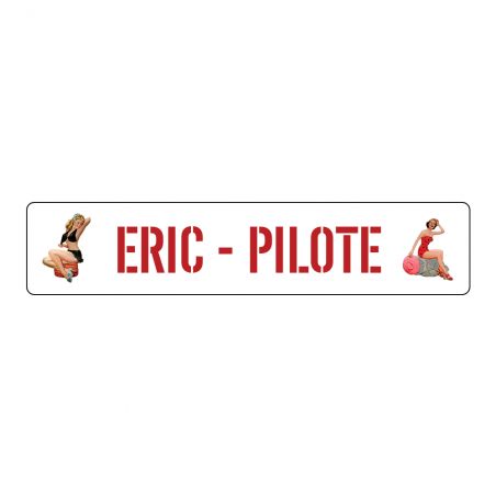 Plaque de voiture personnalisée avec texte et image · Plaque d'immatriculation originale