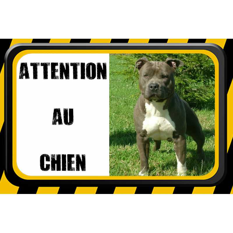 Plaque Attention Chien Personnalisee Avec La Photo Et Le Nom De Votre Chien