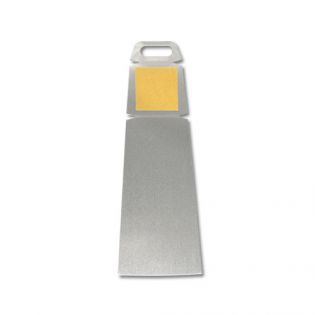 Plaque métallique personnalisée : Disque d'Or personnalisable avec Photo |20 x 30 cm