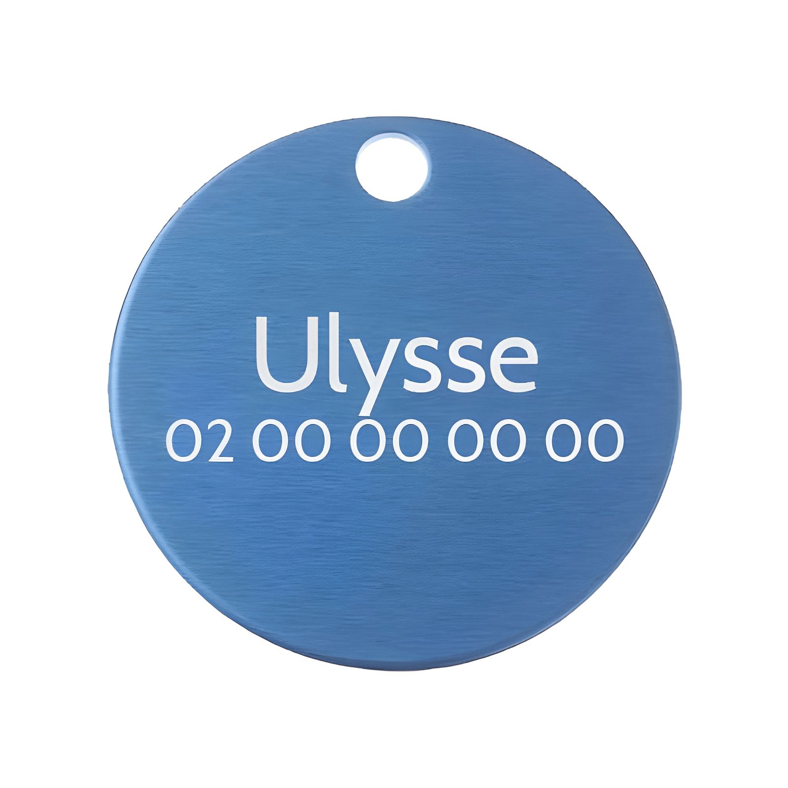 Grande médaille ronde Bleue pour chien et chat avec gravure personnalisée 1 à 2 lignes - Diamètre 32 mm