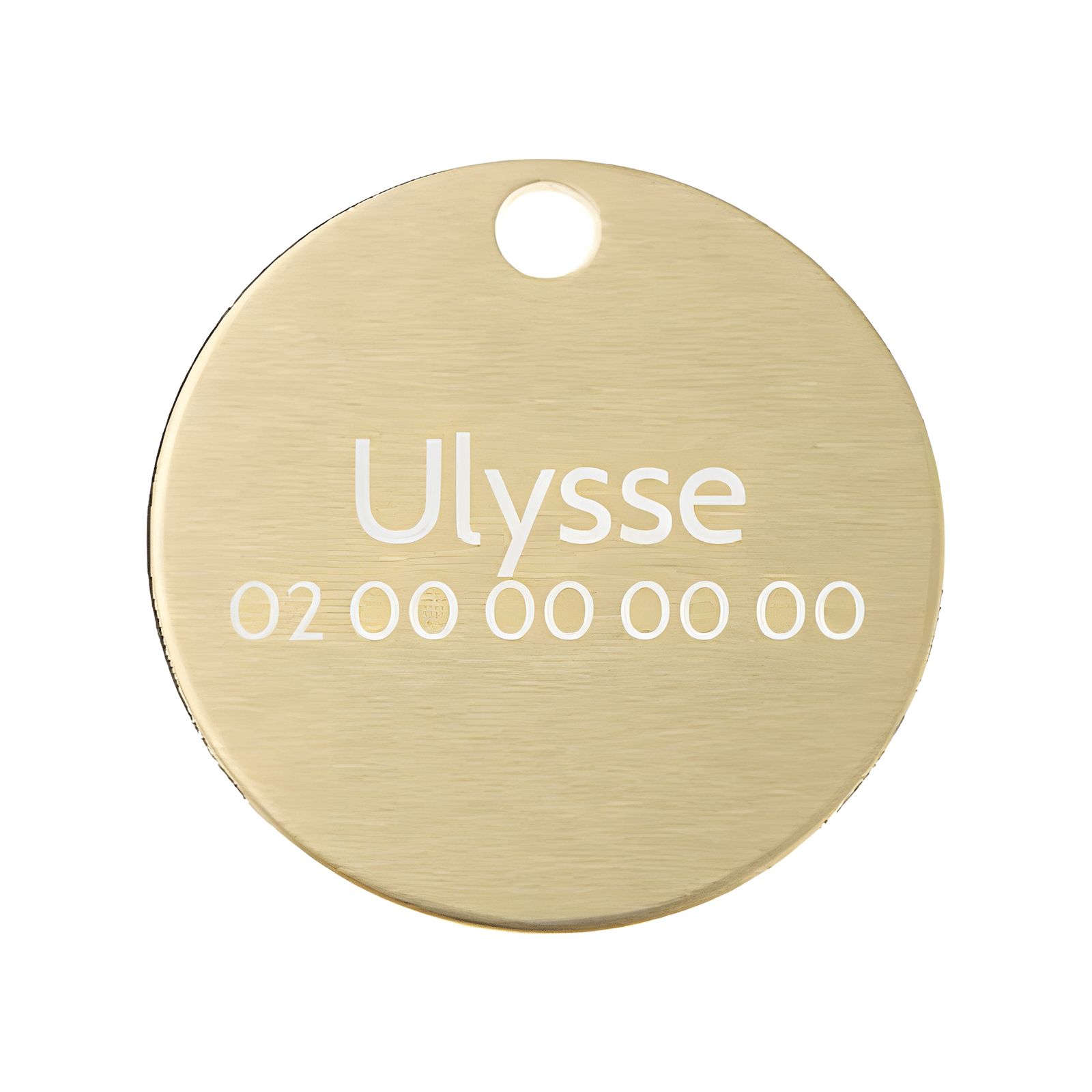 Grande médaille ronde Or pour chien et chat avec gravure personnalisée 1 à 2 lignes - Diamètre 32 mm