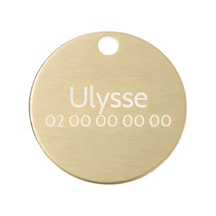 Grande médaille ronde Or pour chien et chat avec gravure personnalisée 1 à 2 lignes - Diamètre 32 mm