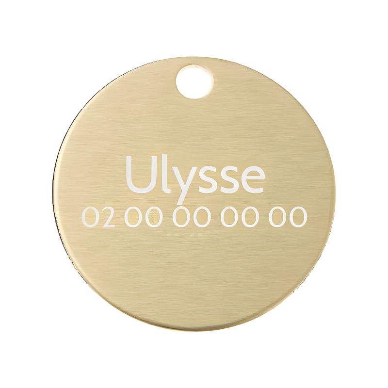 Grande médaille ronde Or pour chien et chat avec gravure personnalisée 1 à 2 lignes - Diamètre 32 mm Grande médaille ronde Or pour chien et chat avec gravure personnalisée 1 à 2 lignes - Diamètre 32 mm