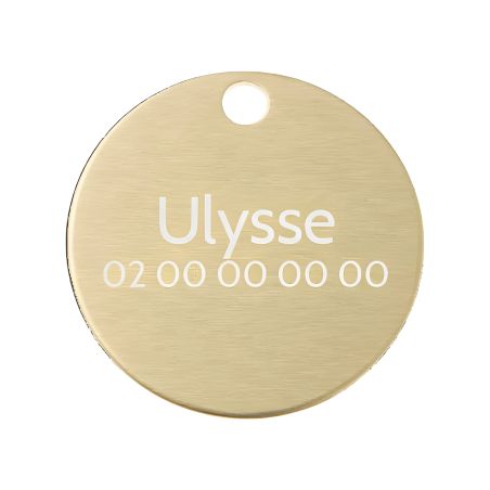 Grande médaille ronde Or pour chien et chat avec gravure personnalisée 1 à 2 lignes - Diamètre 32 mm