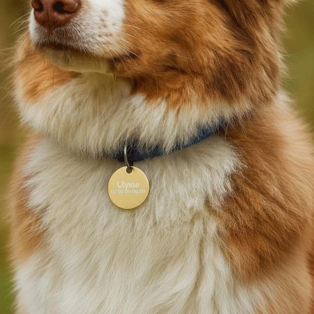 Grande médaille ronde Or pour chien et chat avec gravure personnalisée 1 à 2 lignes - Diamètre 32 mm