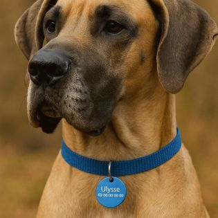 Grande médaille ronde Bleue pour chien et chat avec gravure personnalisée 1 à 2 lignes - Diamètre 32 mm