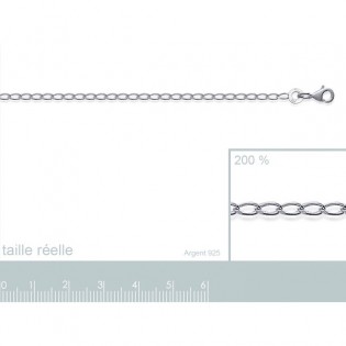 Chaine Cheval diamentée Argent - longueur 50cm